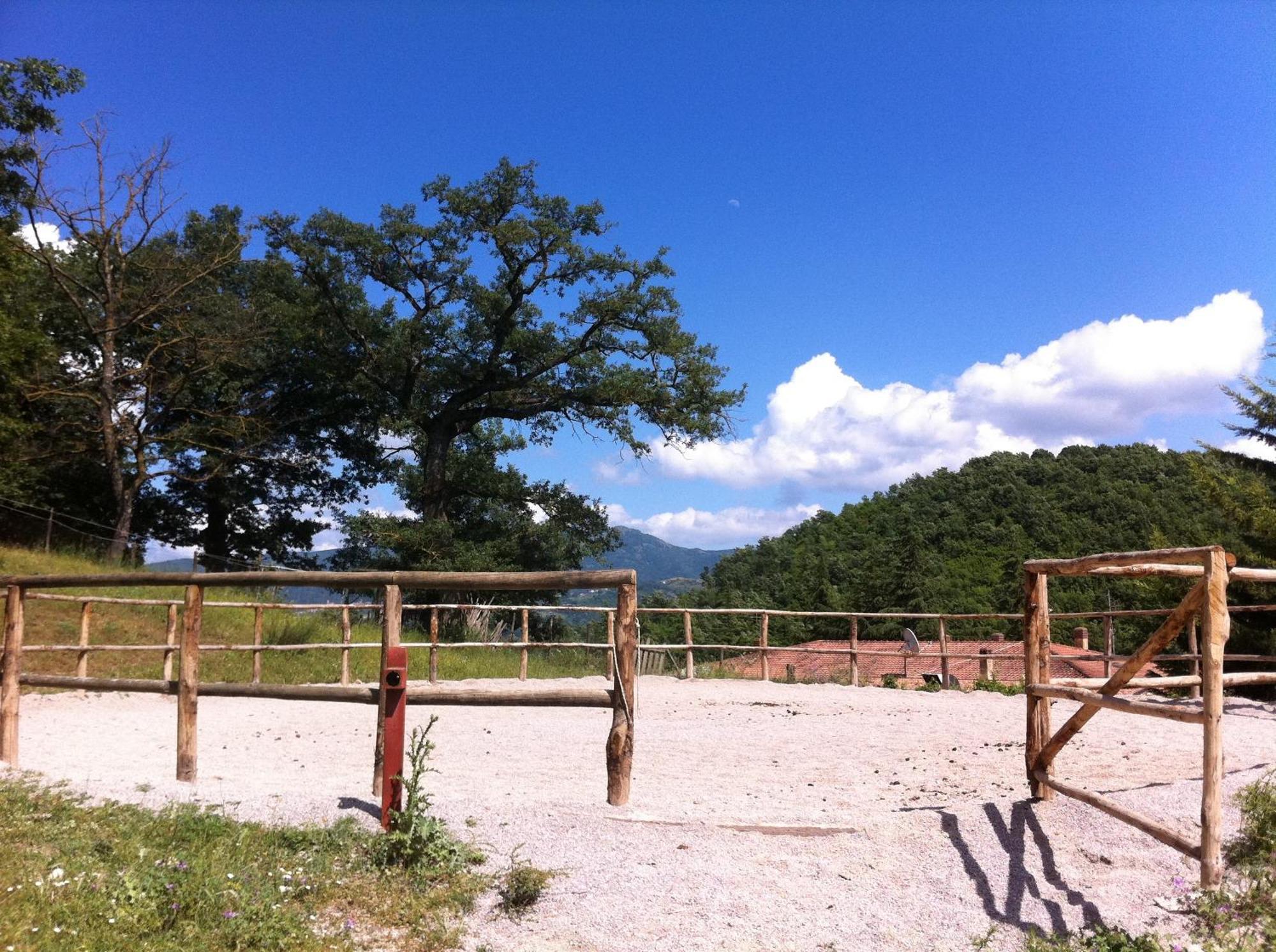 Sotto Il Cielo 4*